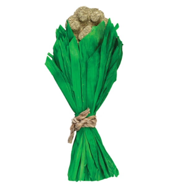 Nibbles Loofah Hay Bouquet Small Animal Chew Toy