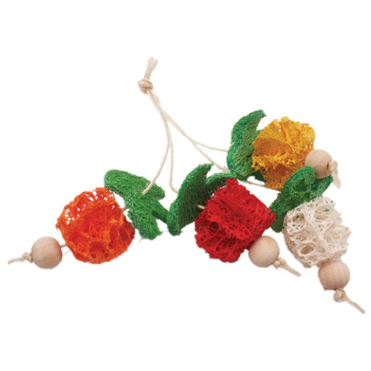 Nibbles Loofah Bunch of Fruits Small Animal Chew Toys