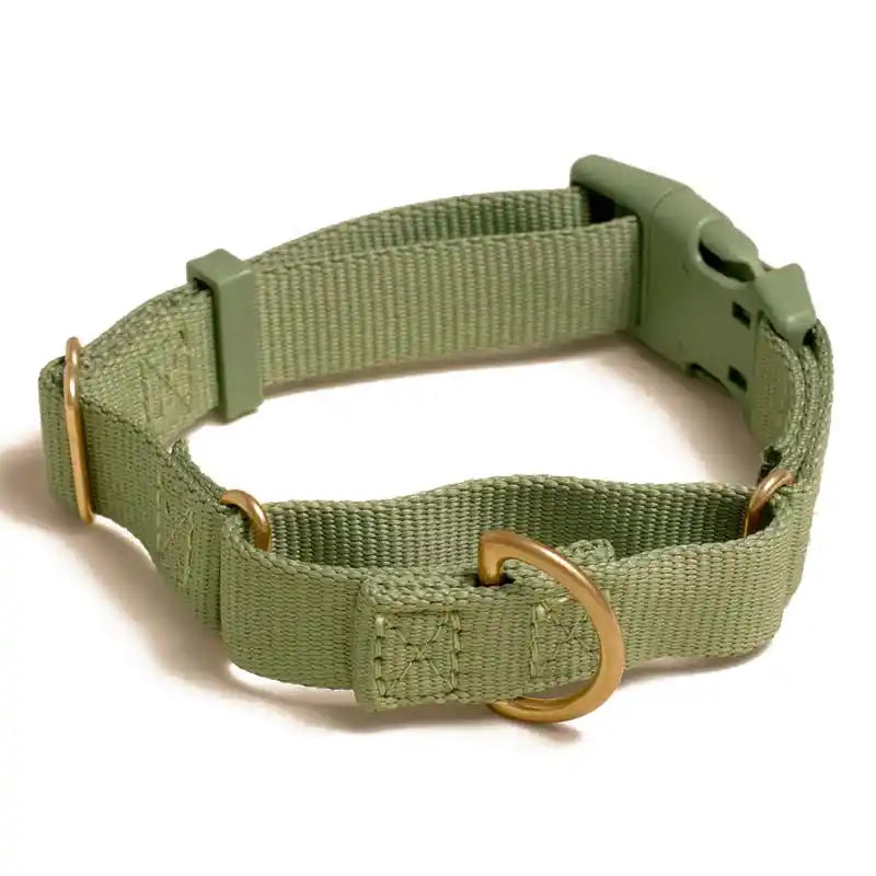 Marty Martingale Collar