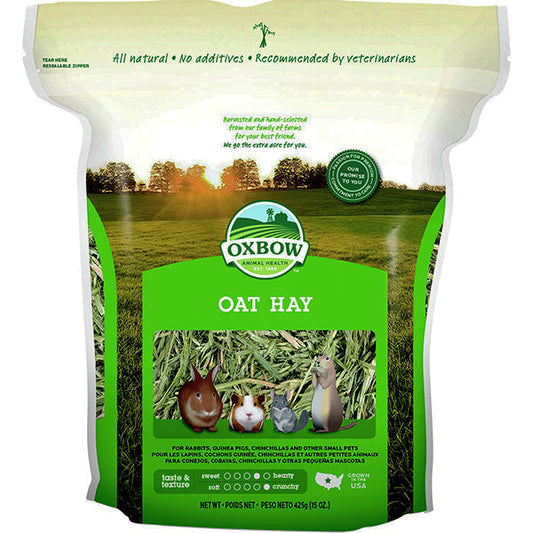Oat Hay Small Animal Food
